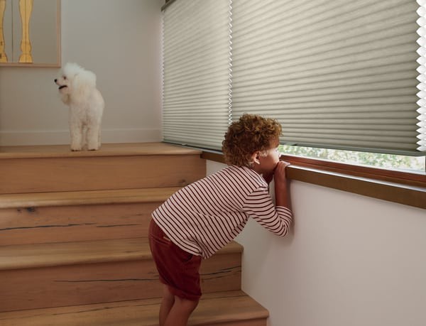 Hunter Douglas Duette® Honeycomb Shades, cordless cellular shades, blackout honeycomb blinds, Near Fairfax, Virginia (VA).