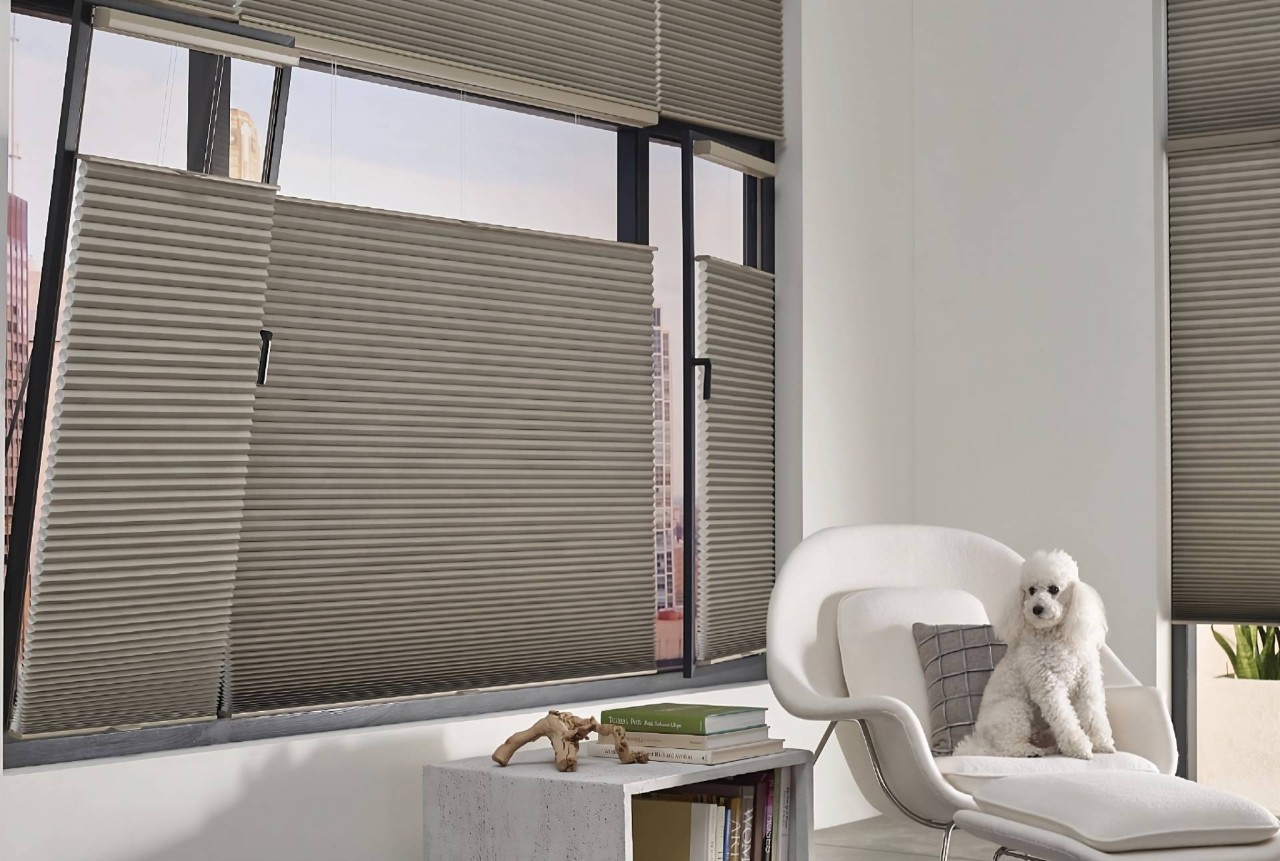 Hunter Douglas Duette® Cellular Shades, a layered shade, on living room windows at Window Decor of Fairfax near Fairfax, VA